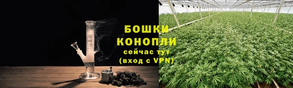 винт Пестово
