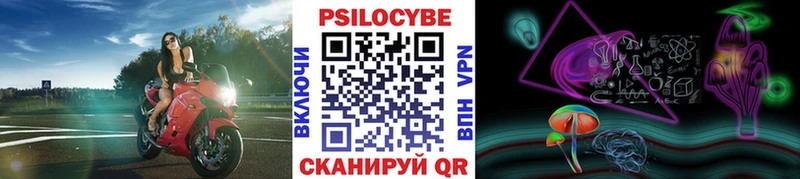 Псилоцибиновые грибы Cubensis  Кодинск 